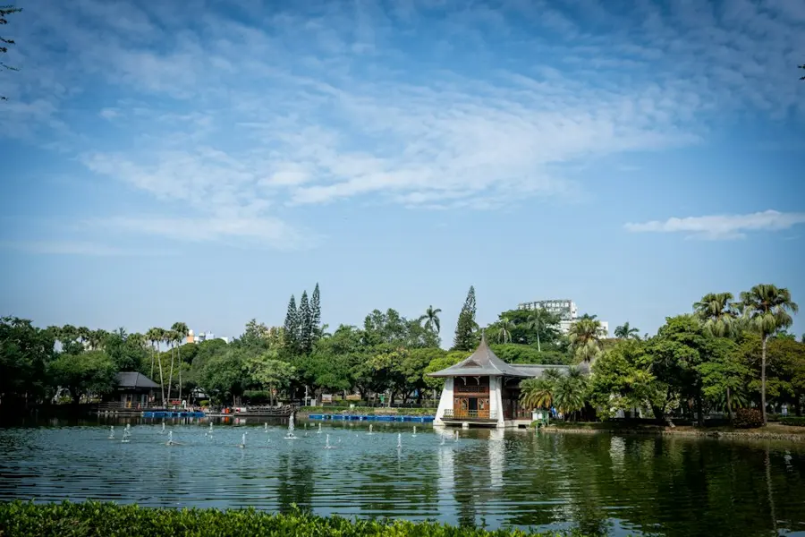 假日到公園走走