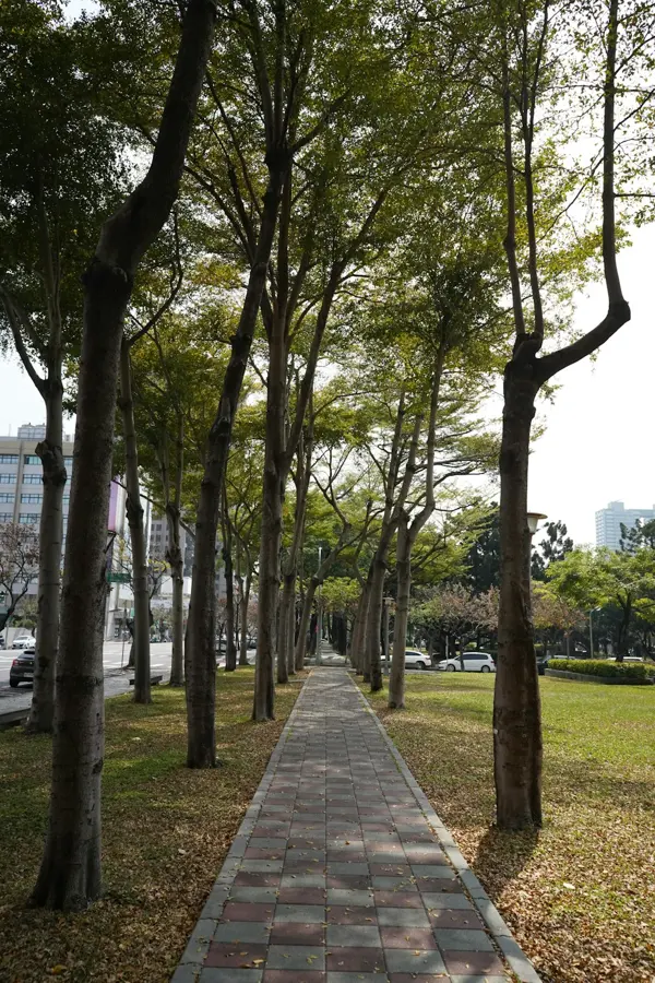 林蔭步道,下樓就能散步